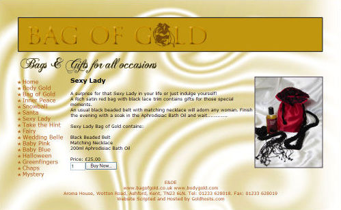images/original/website-design-499-bagofgold.jpg