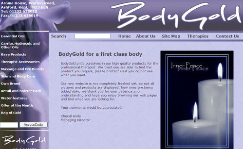 Bodygold Website Design