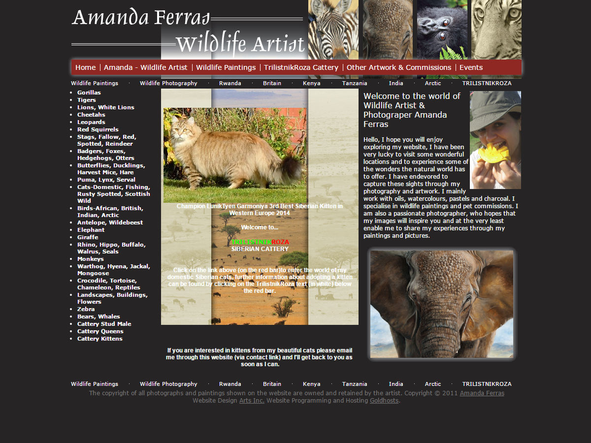 Amanda Ferras Wildlife Photography website design